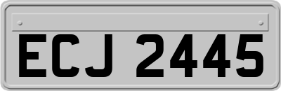 ECJ2445