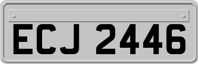 ECJ2446