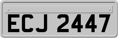 ECJ2447