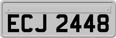 ECJ2448
