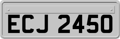 ECJ2450