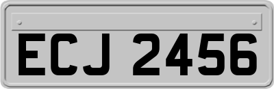 ECJ2456