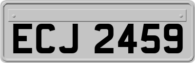 ECJ2459