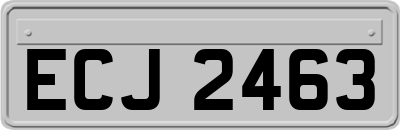 ECJ2463