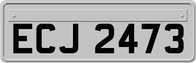 ECJ2473
