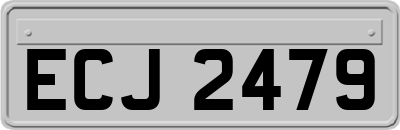 ECJ2479
