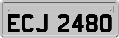ECJ2480