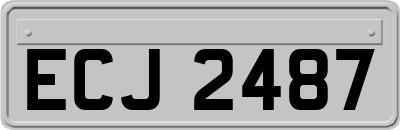 ECJ2487