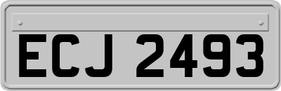 ECJ2493