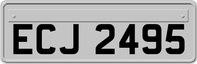 ECJ2495
