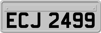 ECJ2499