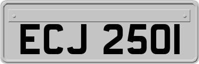 ECJ2501