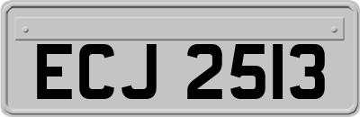 ECJ2513