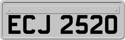 ECJ2520
