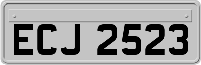 ECJ2523