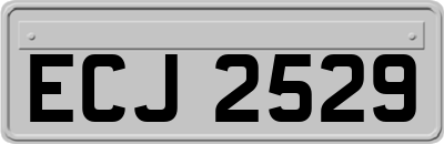 ECJ2529