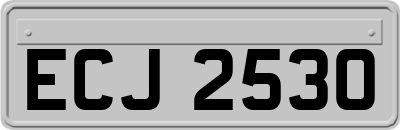 ECJ2530