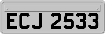 ECJ2533