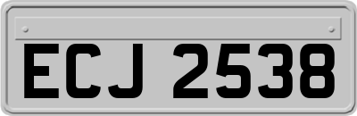 ECJ2538