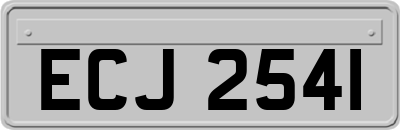 ECJ2541