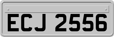 ECJ2556