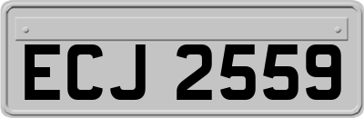 ECJ2559