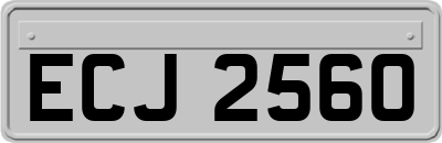 ECJ2560