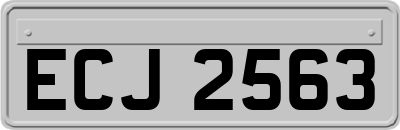ECJ2563