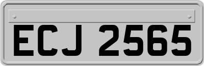 ECJ2565