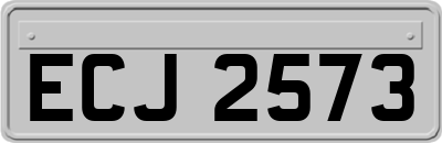 ECJ2573