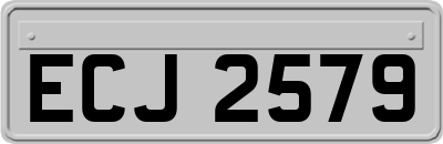 ECJ2579