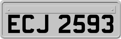 ECJ2593