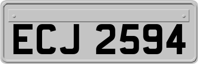 ECJ2594