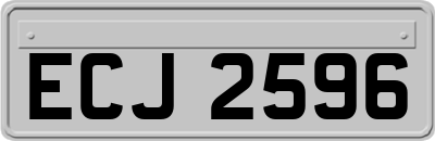 ECJ2596