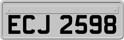ECJ2598