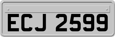 ECJ2599