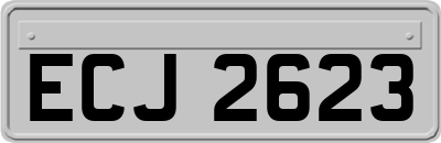 ECJ2623