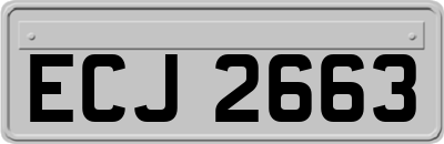 ECJ2663