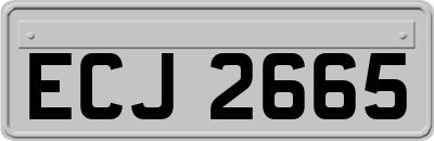 ECJ2665