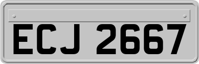 ECJ2667