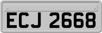 ECJ2668