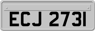 ECJ2731