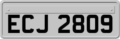 ECJ2809