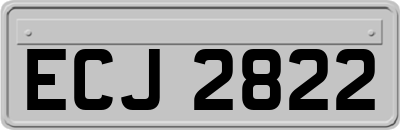 ECJ2822