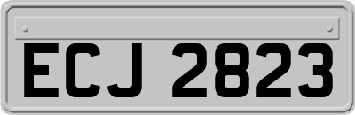 ECJ2823