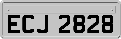 ECJ2828