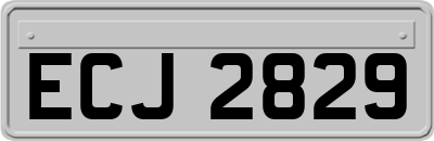 ECJ2829