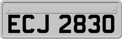 ECJ2830