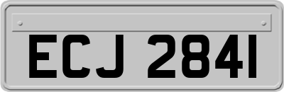 ECJ2841