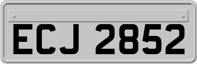 ECJ2852
